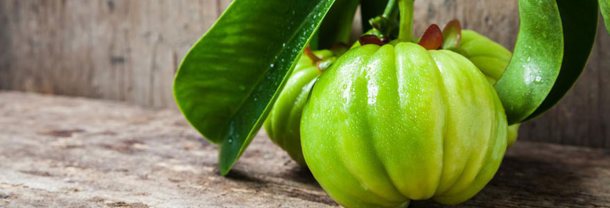 Garcinia Cambogia